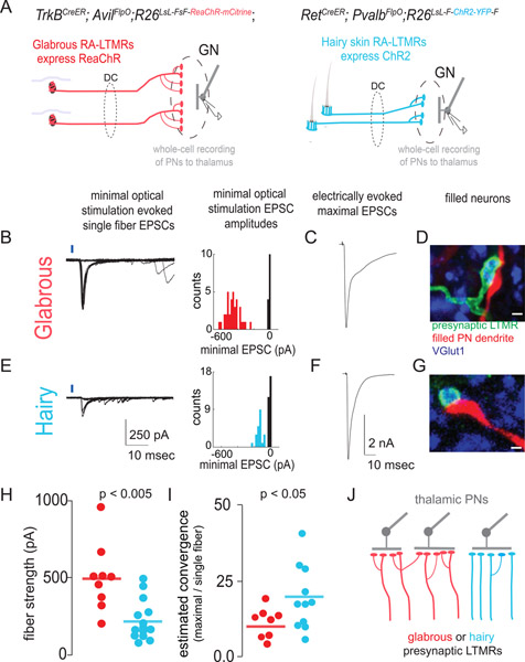 Figure 6: