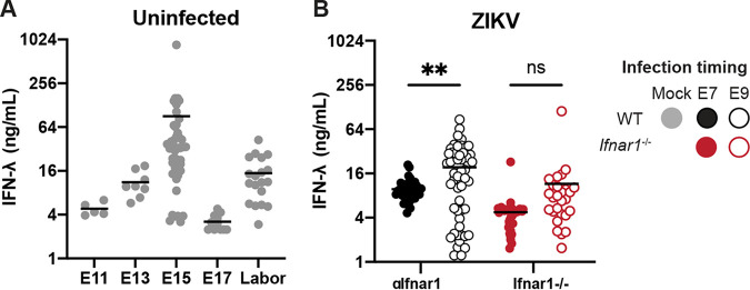 FIG 2