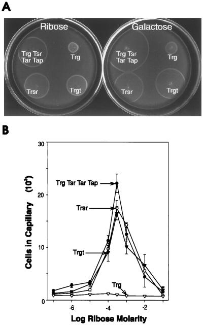 FIG. 4