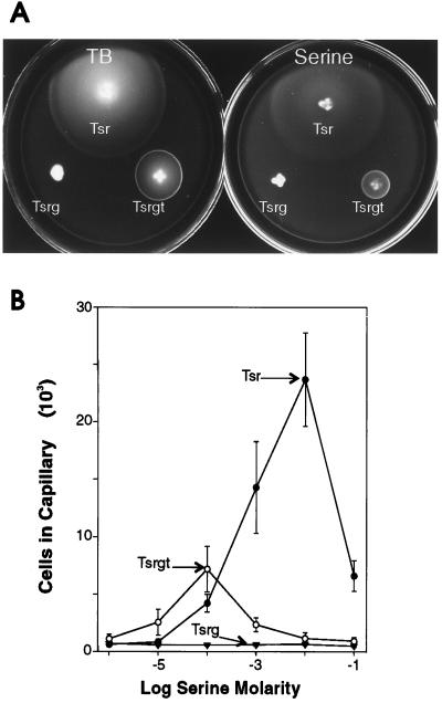 FIG. 5