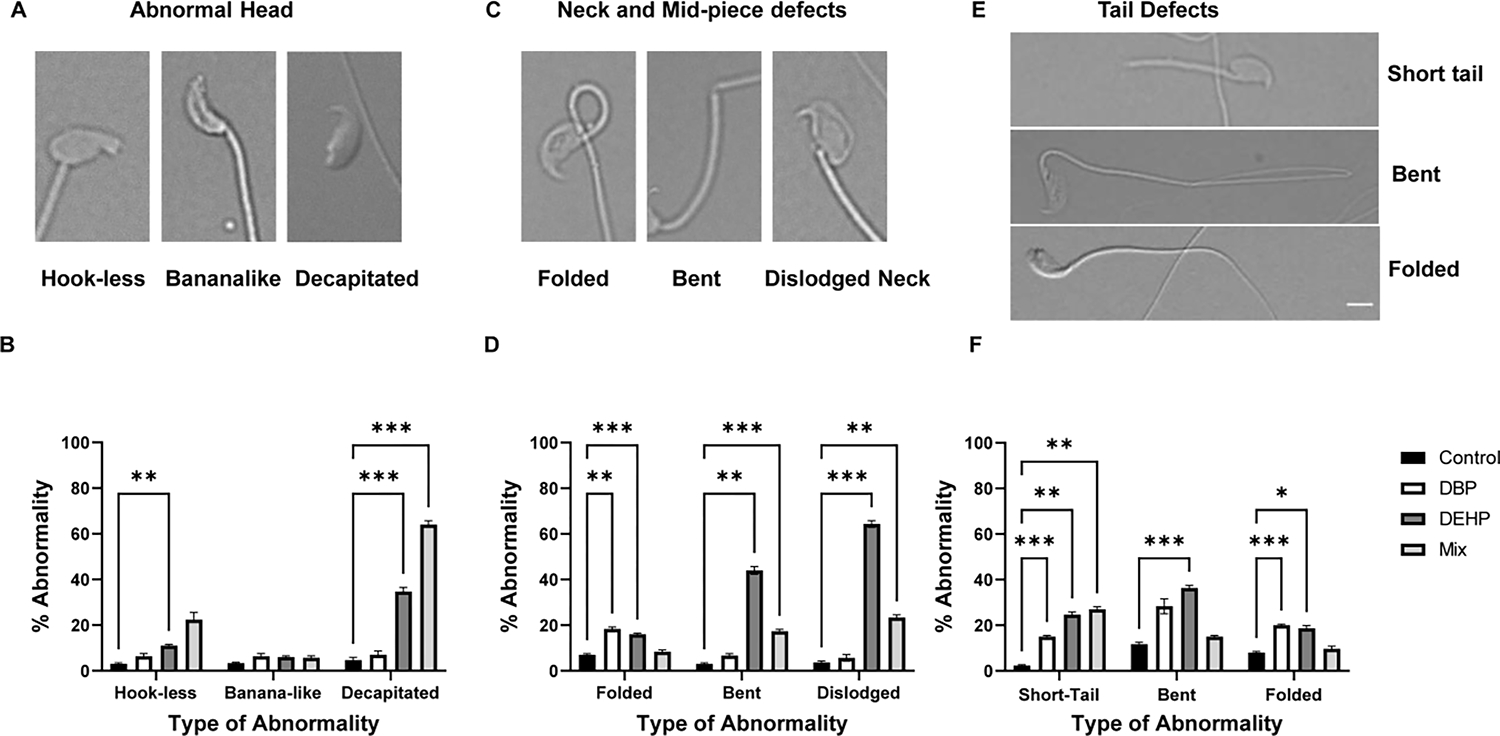 Figure-3: