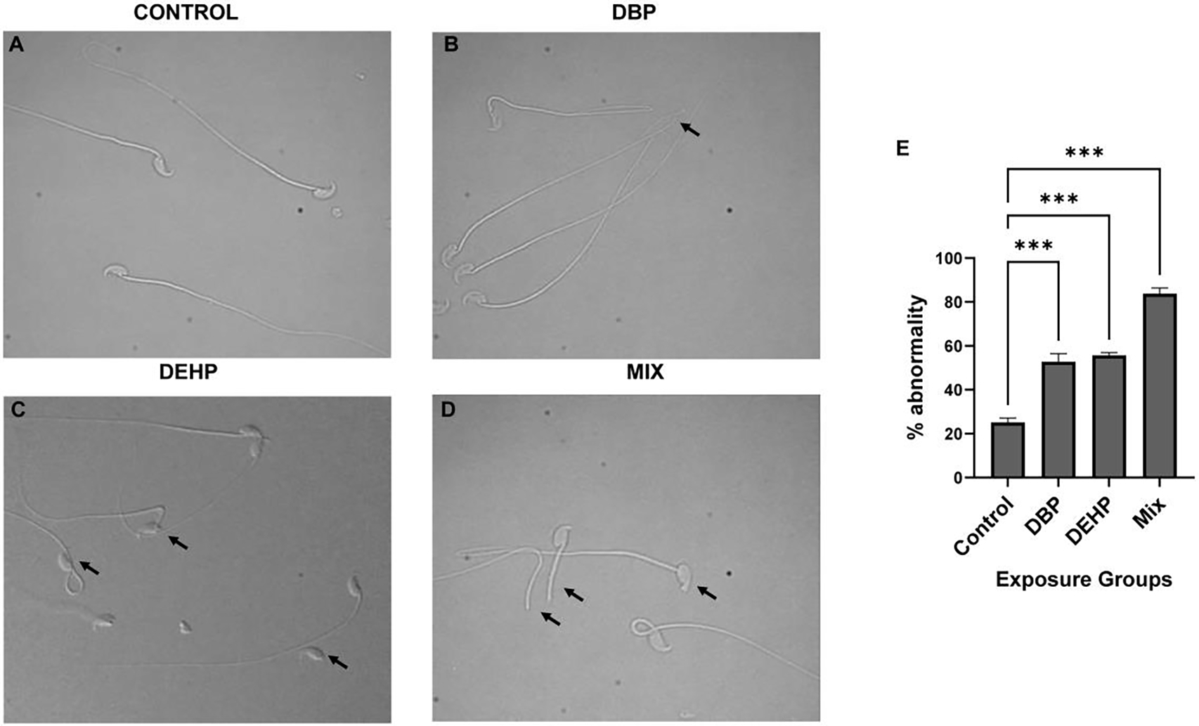 Figure-2: