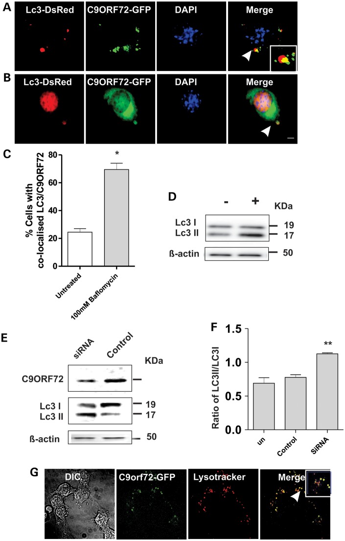 Figure 6.