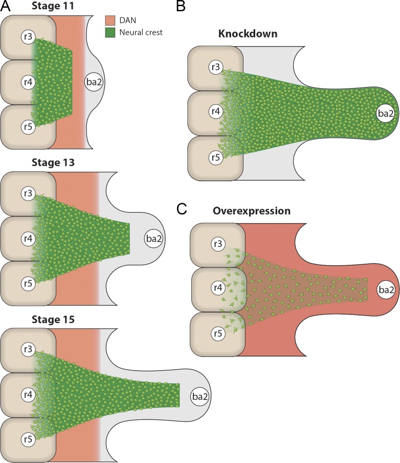 Figure 9.