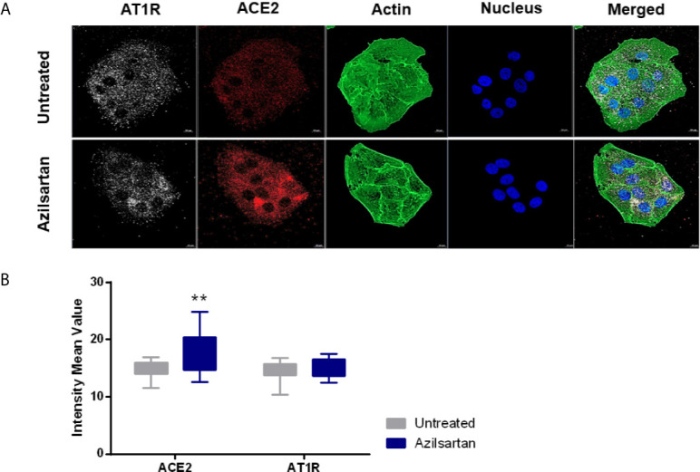 Figure 2