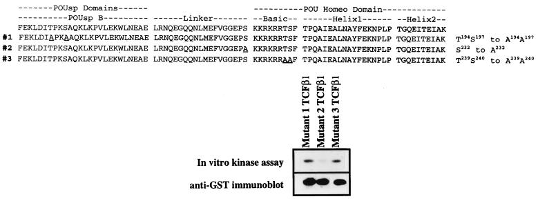 FIG. 8