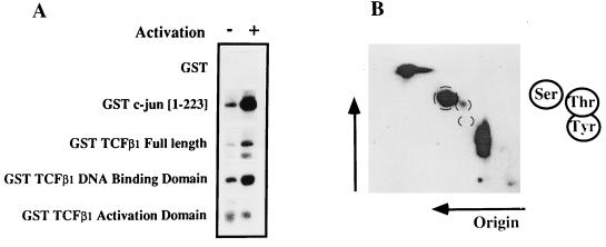 FIG. 5