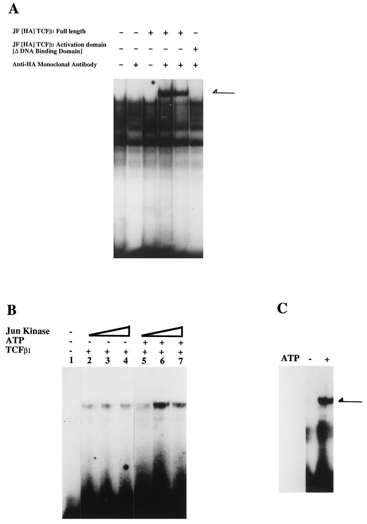 FIG. 9