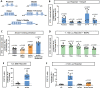 Figure 3—figure supplement 1.