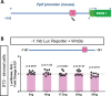 Figure 5—figure supplement 1.