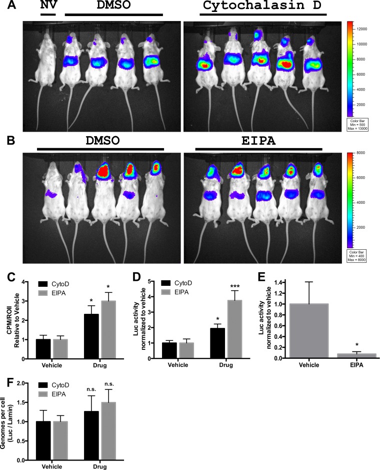 FIG 4