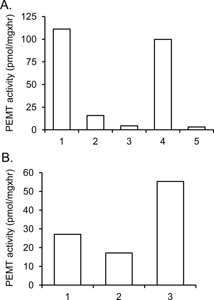 Fig. 8