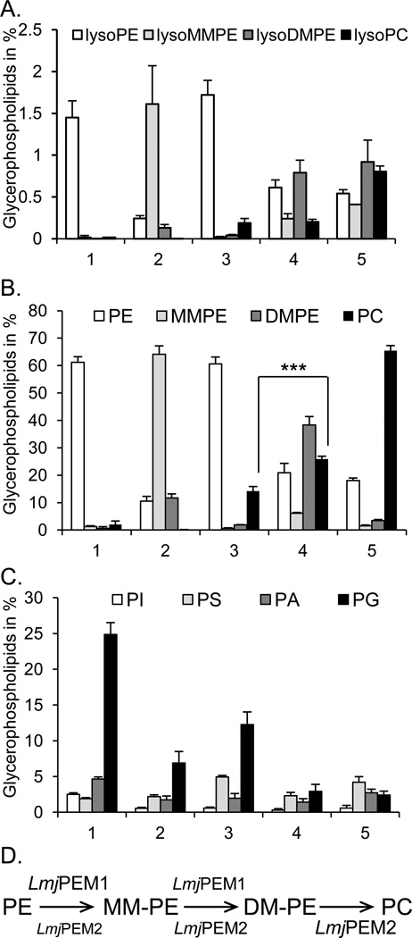 Fig. 9