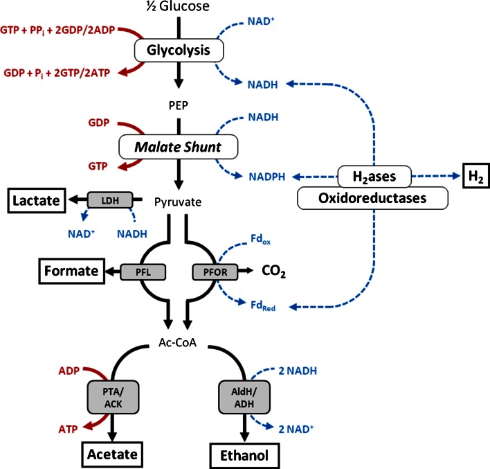 Fig. 1