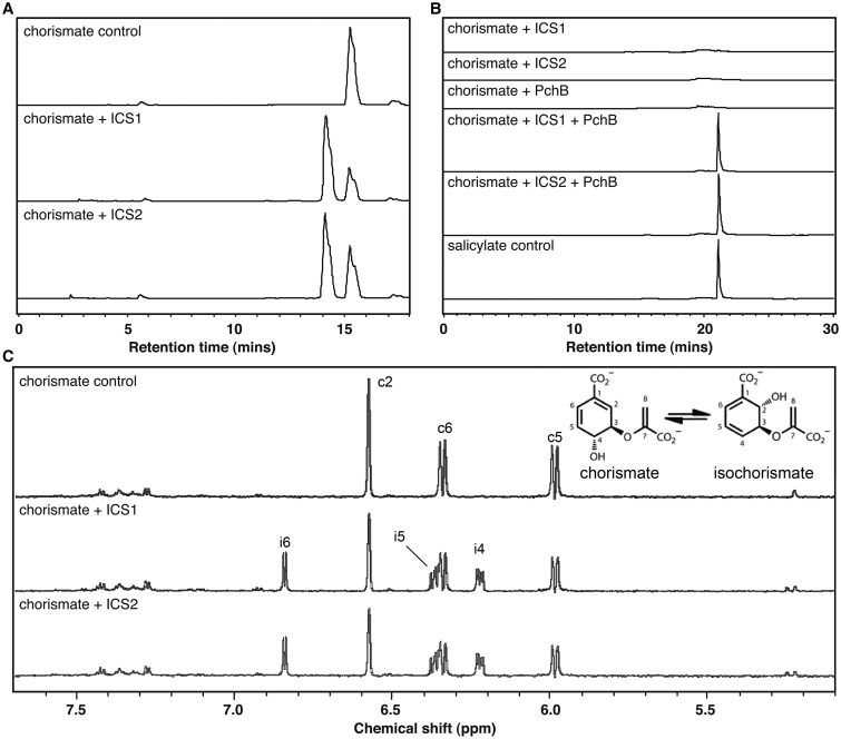 Figure 2.