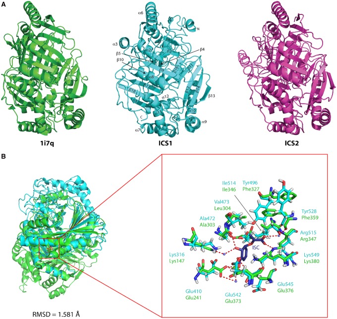 Figure 1.