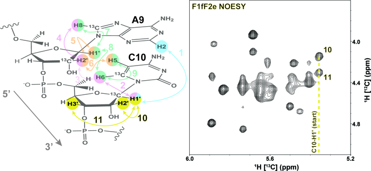 Figure 7.