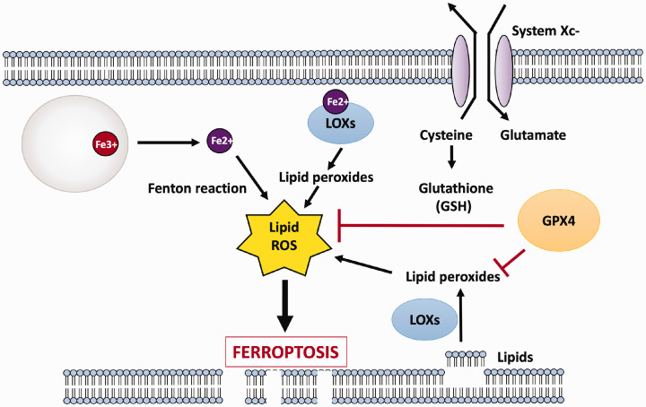 Figure 4.