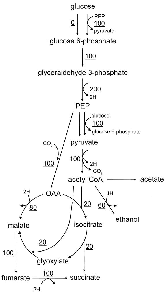 FIG. 5.