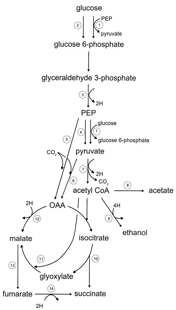 FIG. 4.