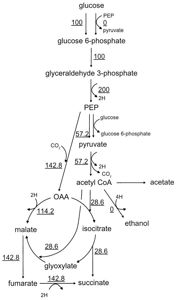 FIG. 6.