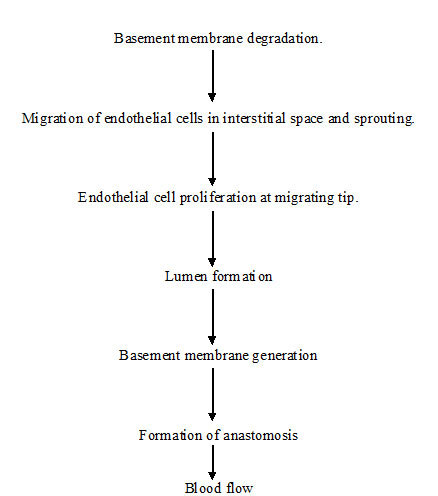 [Table/Fig-1]: