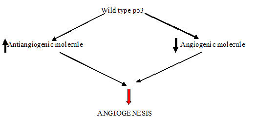 [Table/Fig-2]: