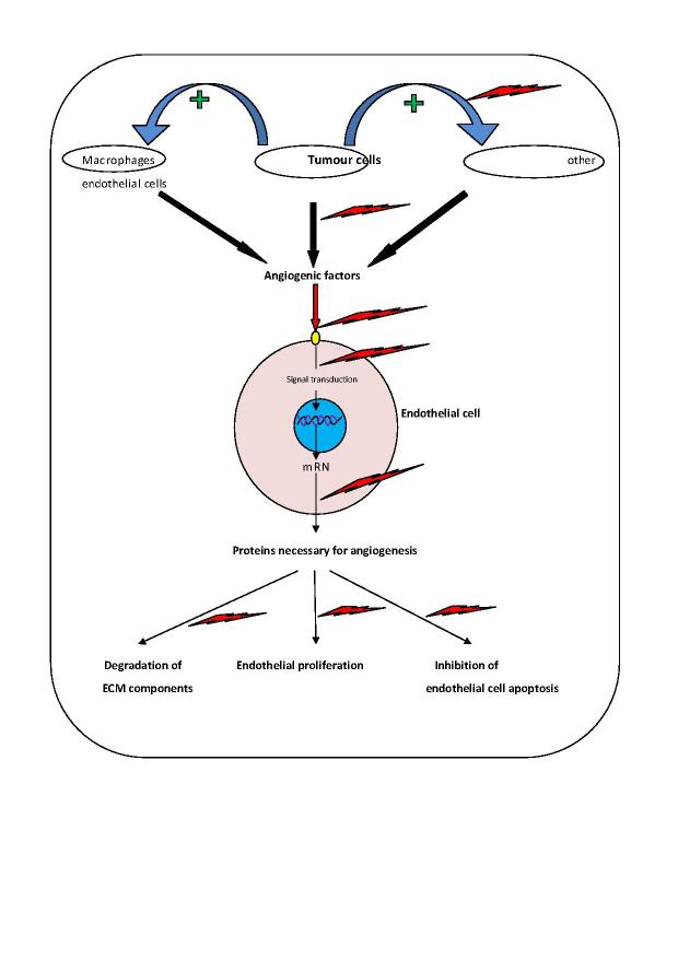 [Table/Fig-4]: