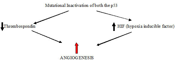 [Table/Fig-3]: