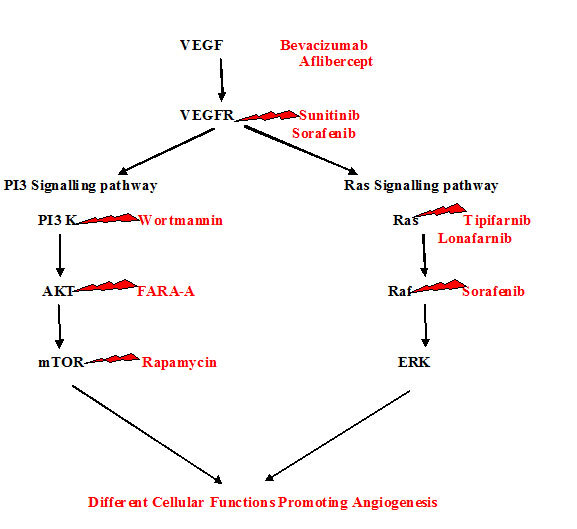 [Table/Fig-6]: