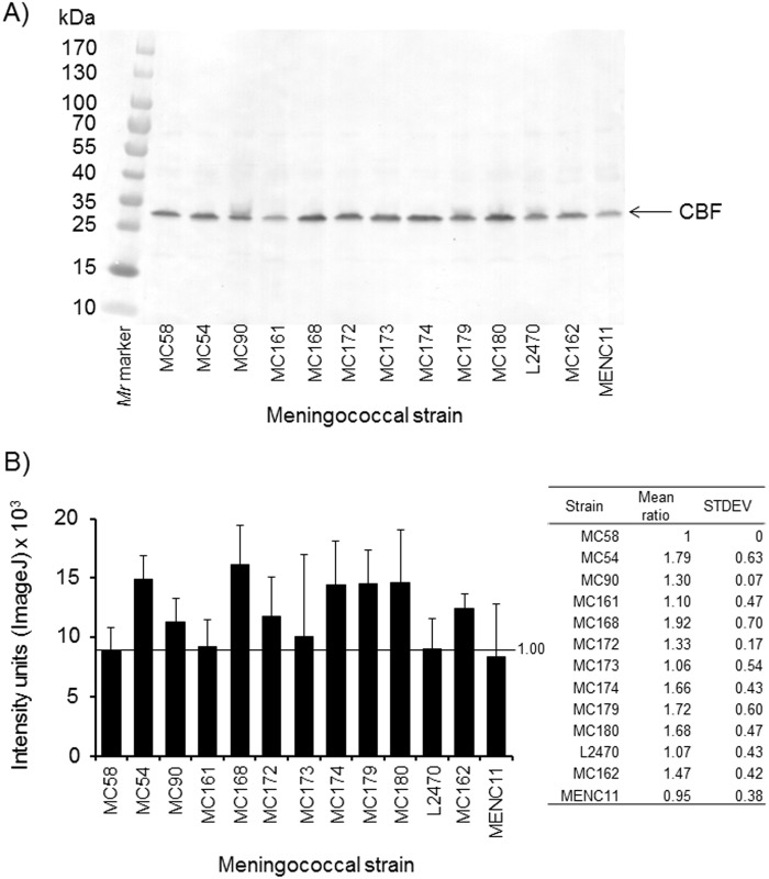 Fig 5