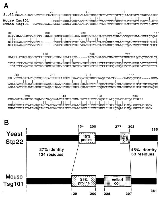 FIG. 8