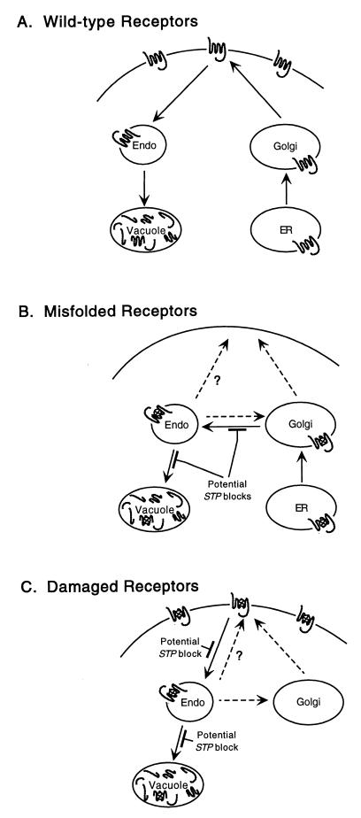 FIG. 9