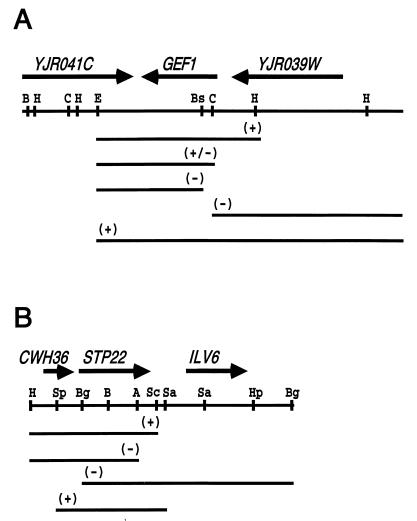 FIG. 7