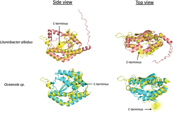 FIGURE 5