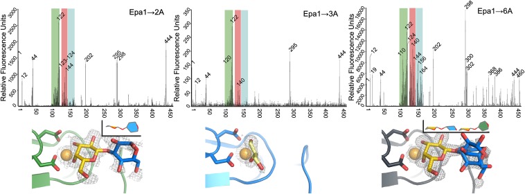 Fig. 4.