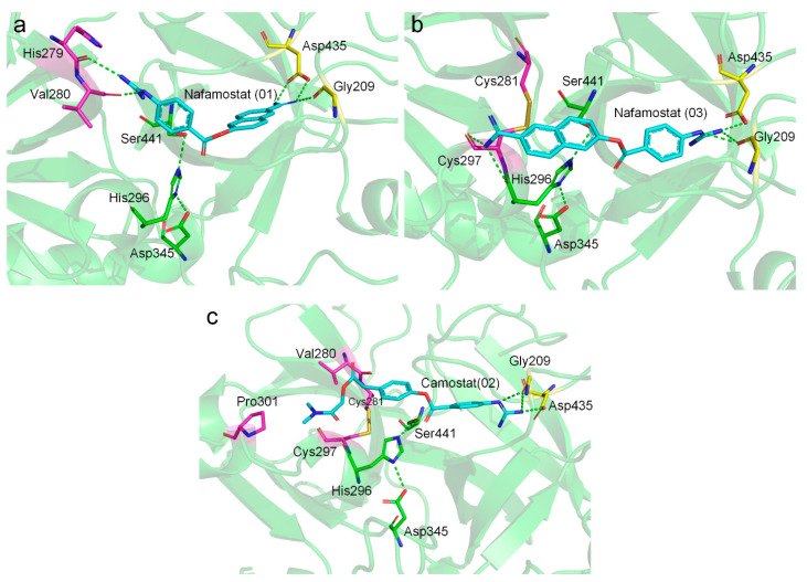 Figure 5