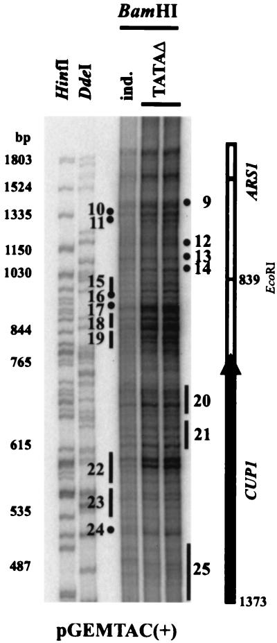 FIG. 8