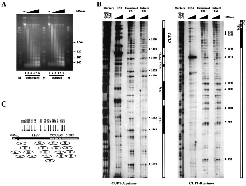 FIG. 7