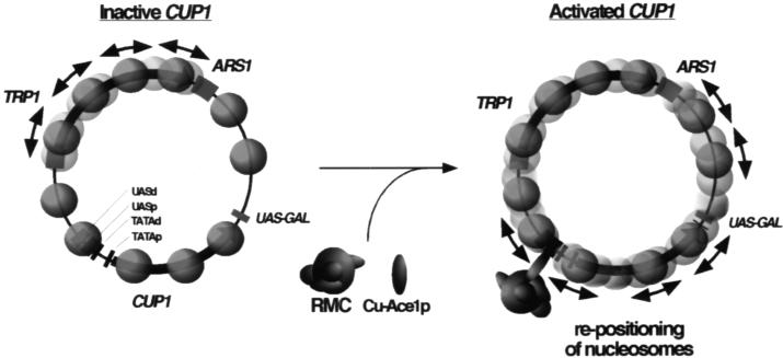 FIG. 9