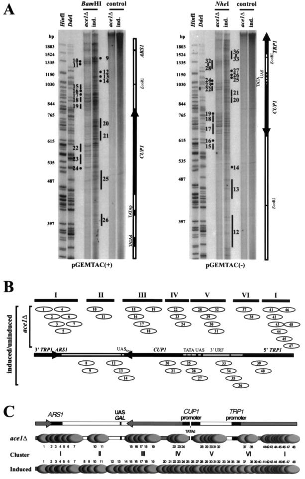 FIG. 6