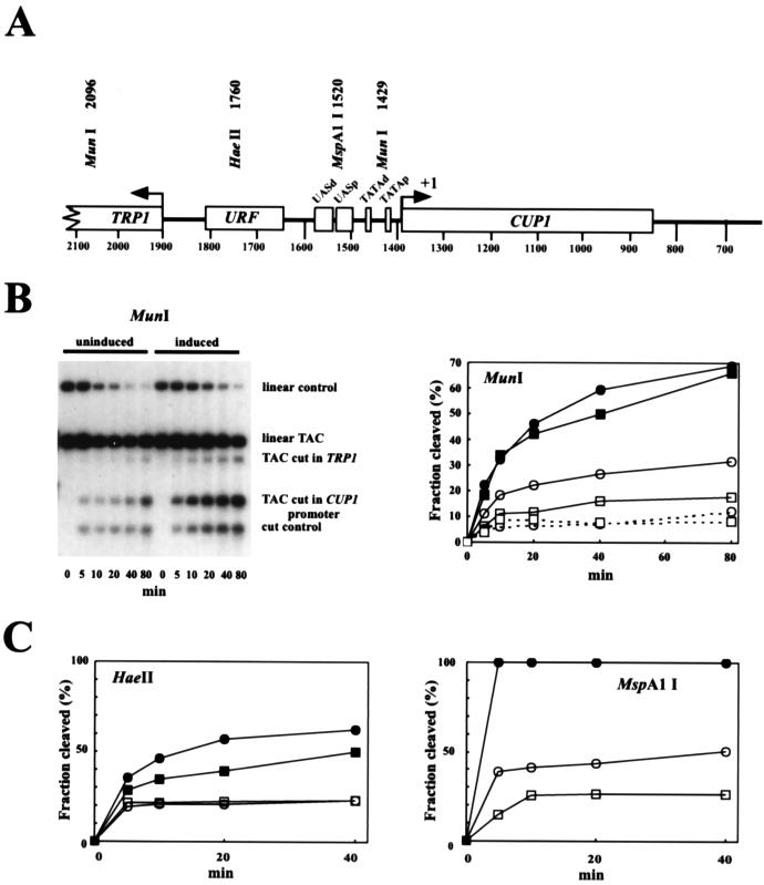 FIG. 5