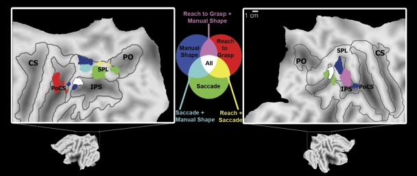 Fig. 5.