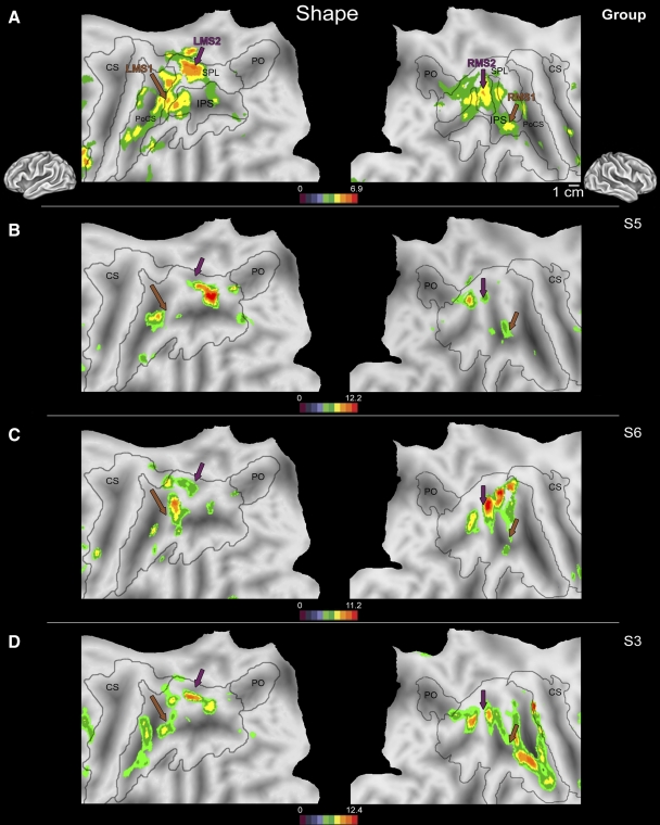 Fig. 3.