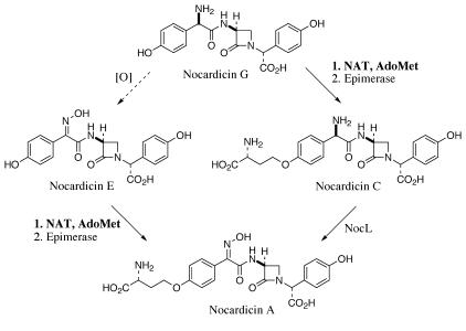 FIG. 6.