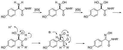 FIG. 5.