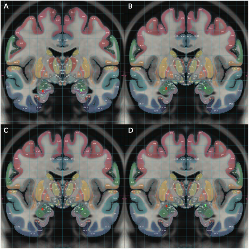 FIGURE 2