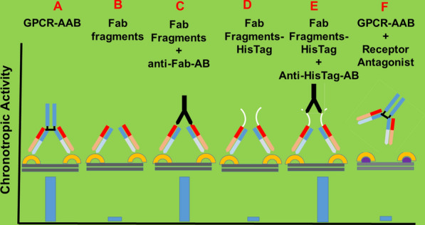 Fig. 4