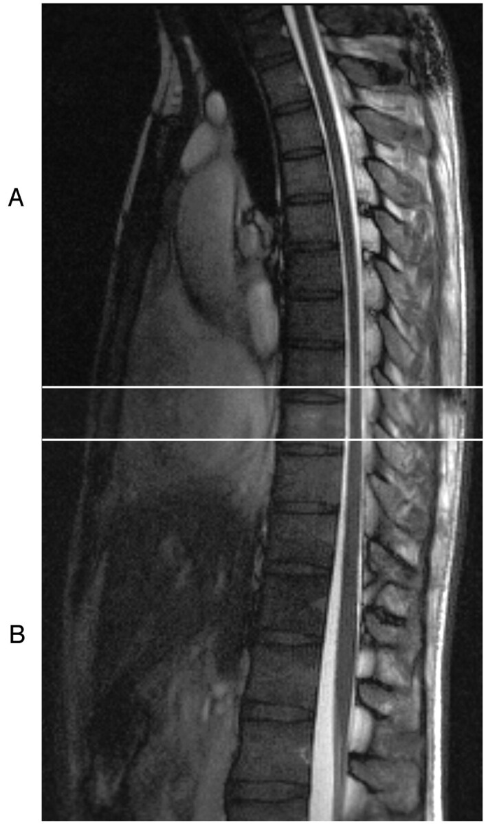 Fig 1.