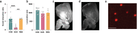 Extended Data Fig. 4.